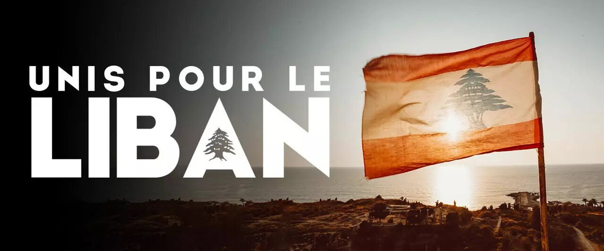 Le Grand Concert Unis pour le Liban's banner image