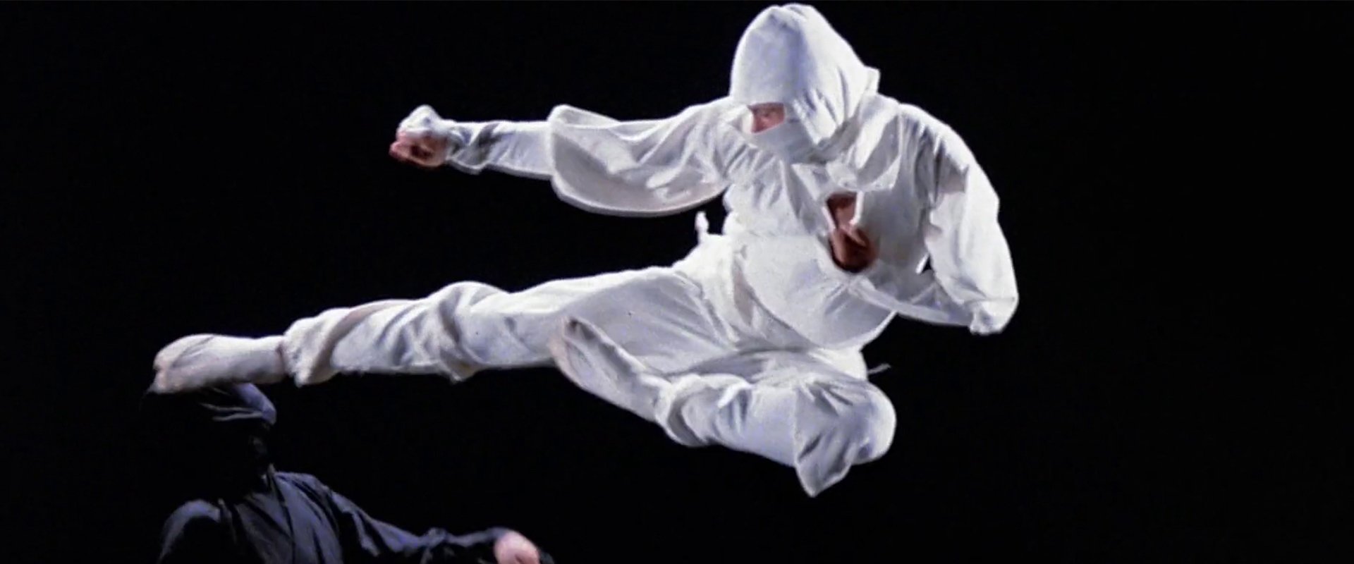 Enter the Ninja