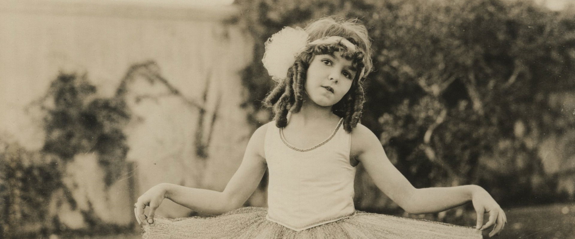 When Dawn Came's banner image