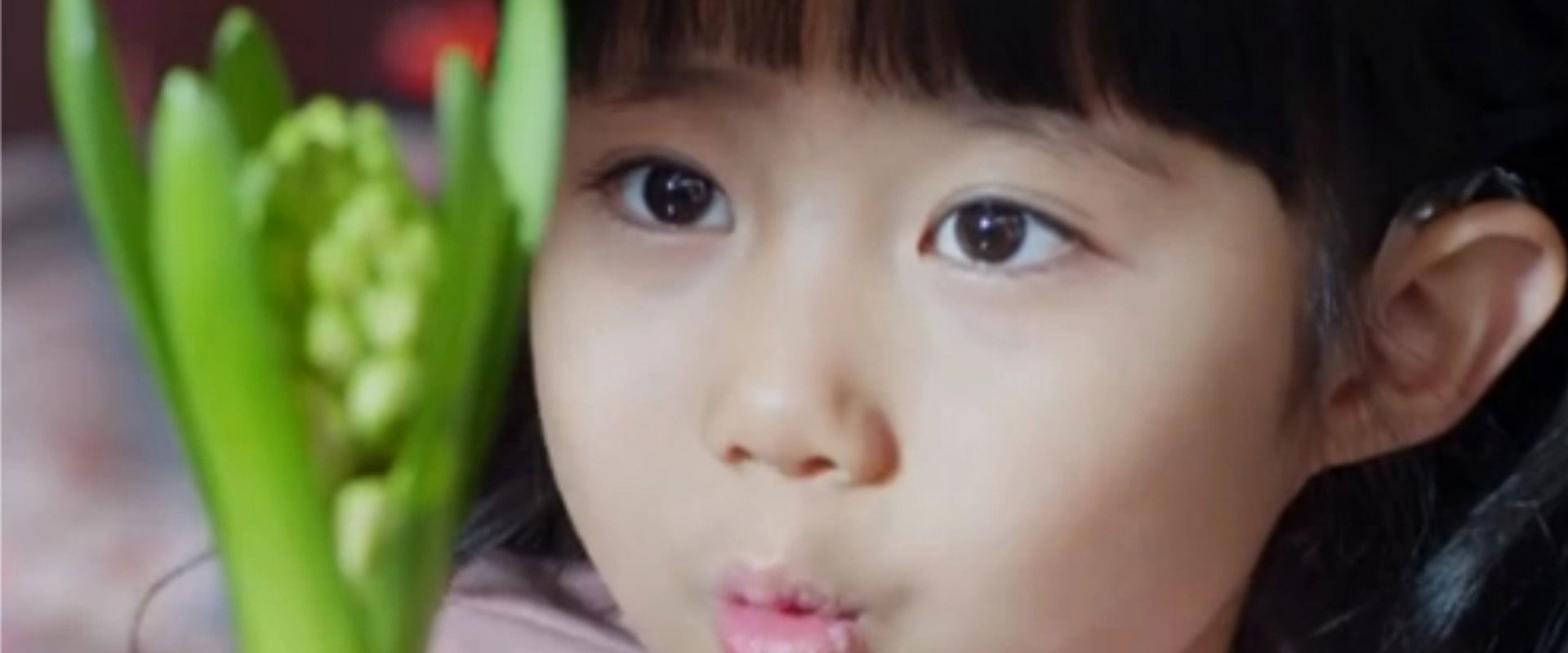 Hearing Implant's banner image