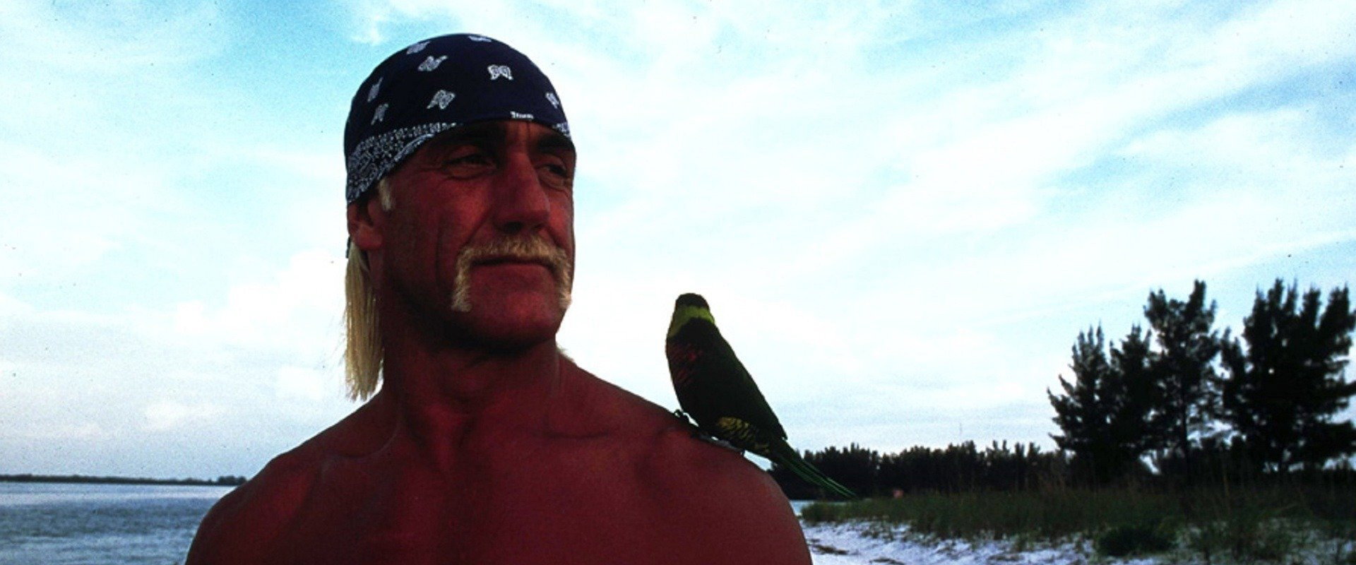 McCinsey's Island's banner image