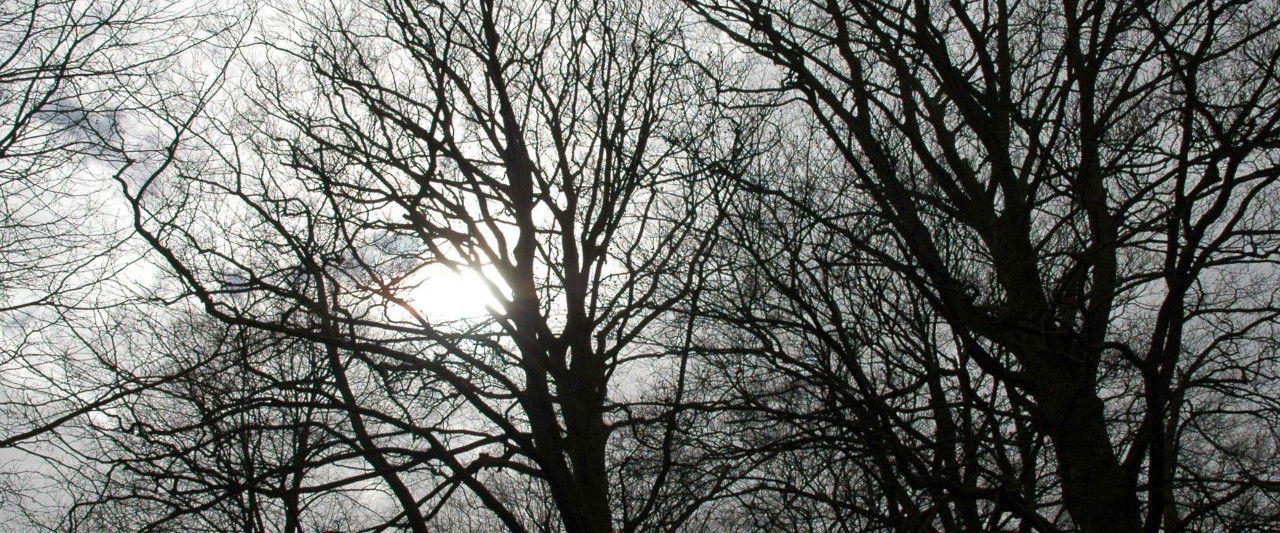 Tales from the Darkside