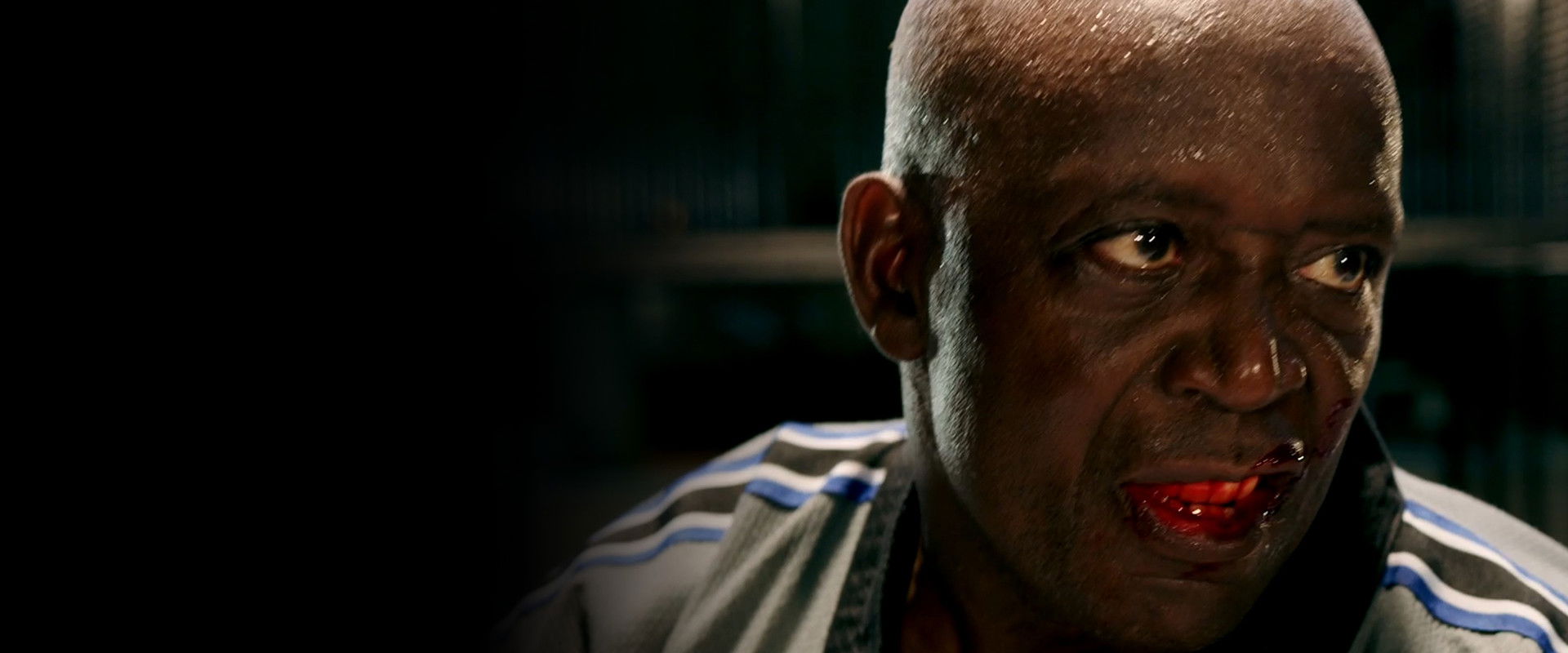 The Circuit 4: Faith Fighter's banner image