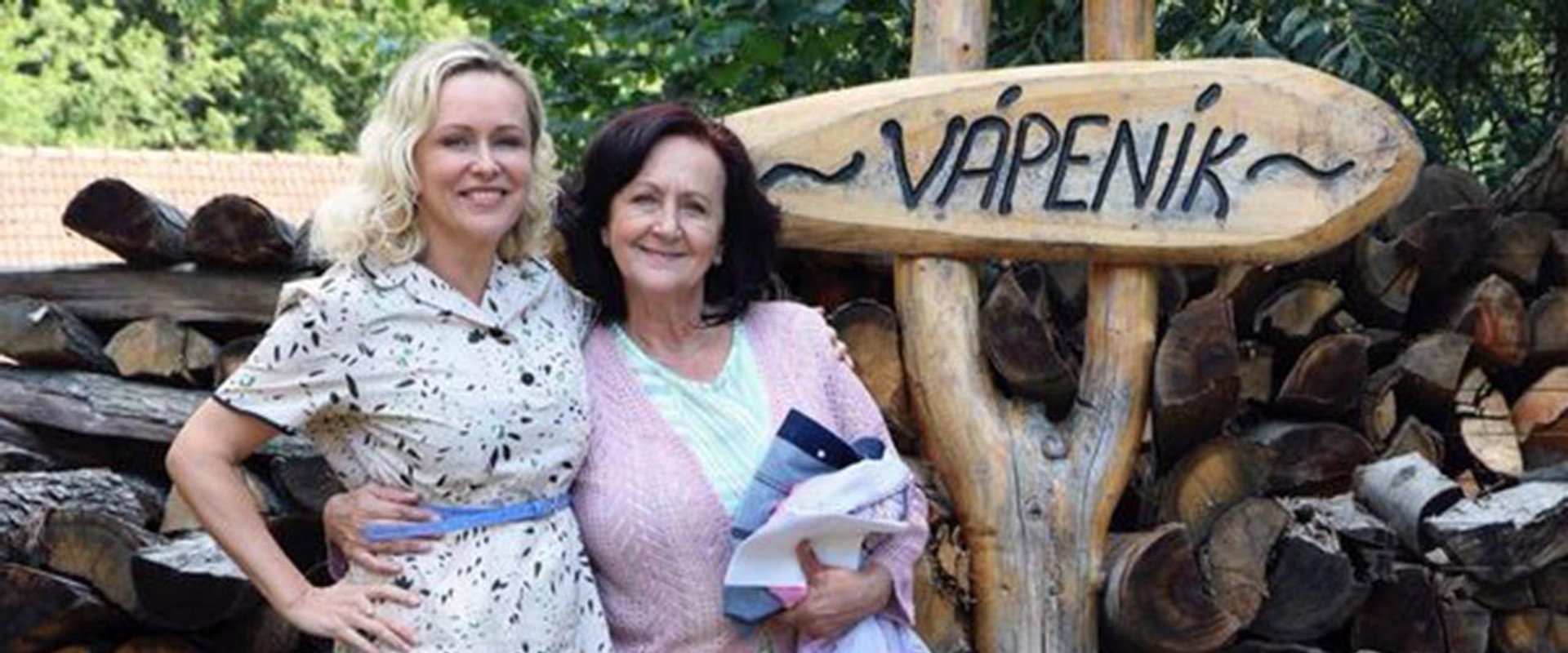 Pani Dokonalá's banner image