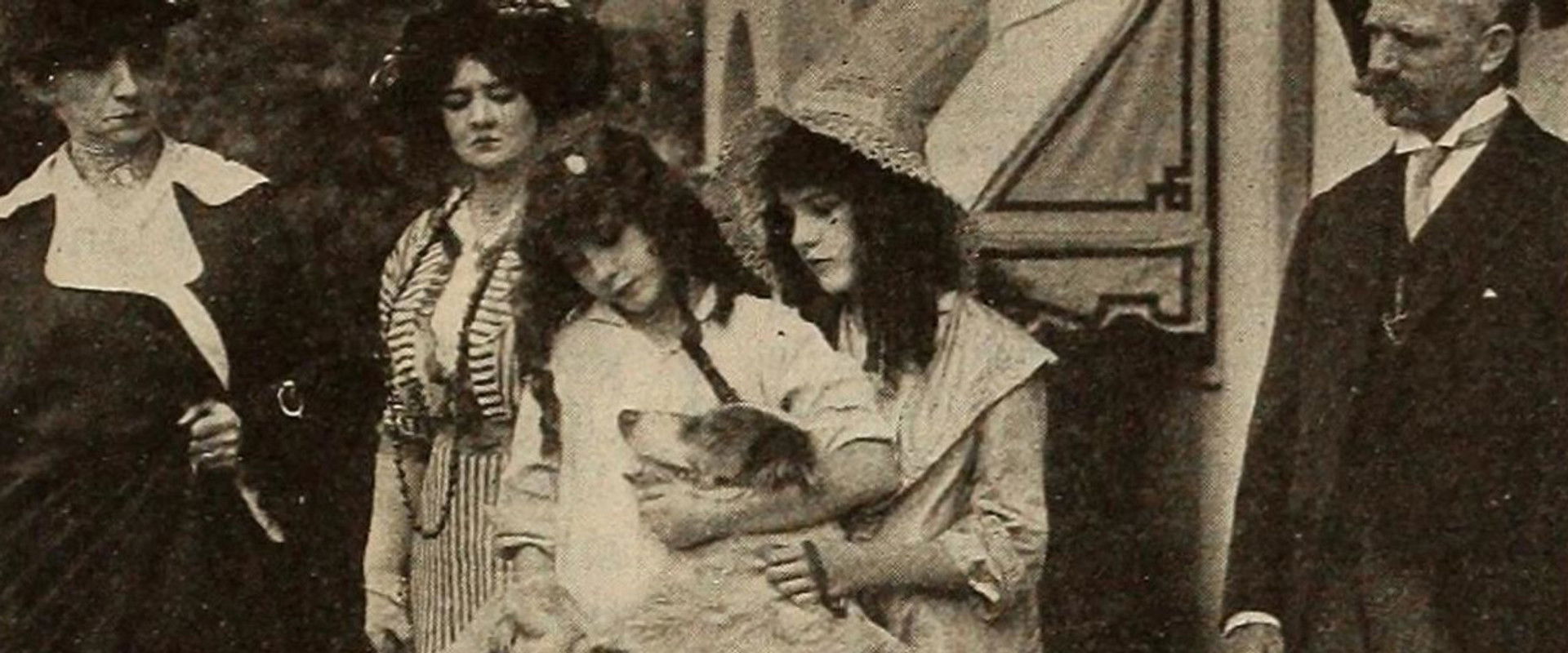 Shep's Race with Death's banner image