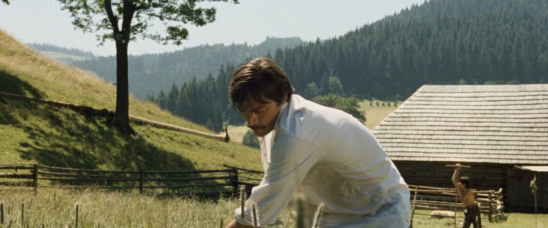 Stíny horkého léta