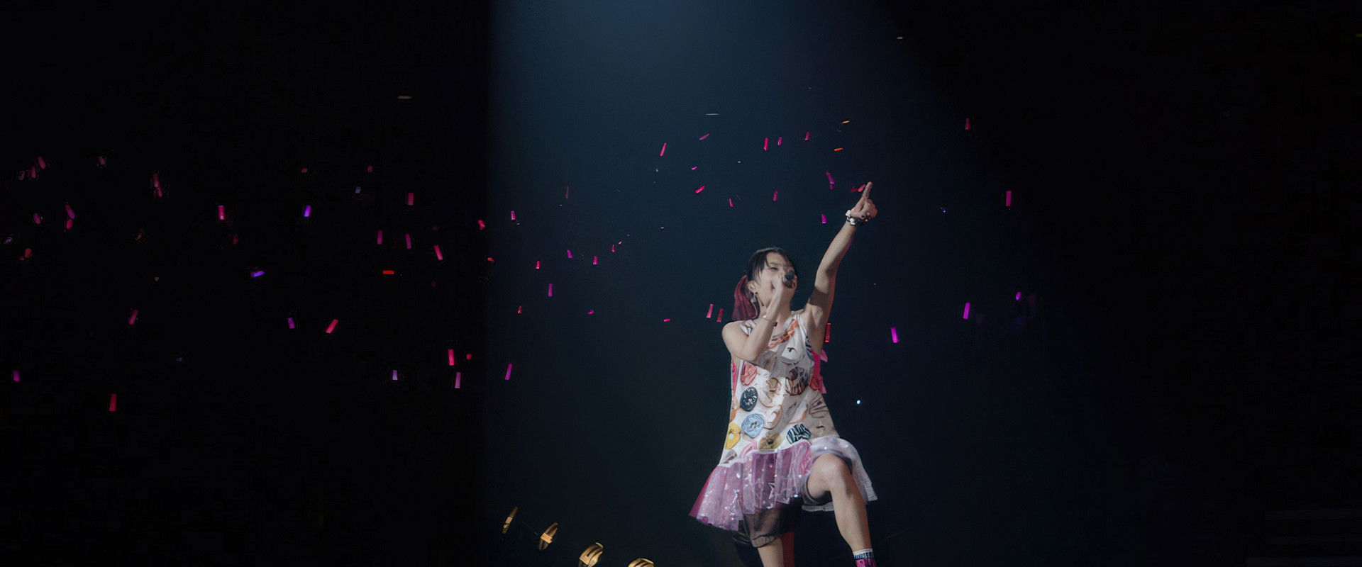 LiSA - LiVE is Smile Always ~PiNK & BLACK~ in Nippon Budokan 