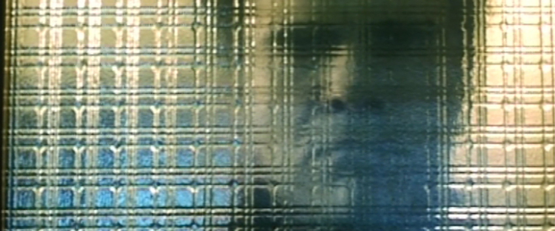 Amulet's banner image