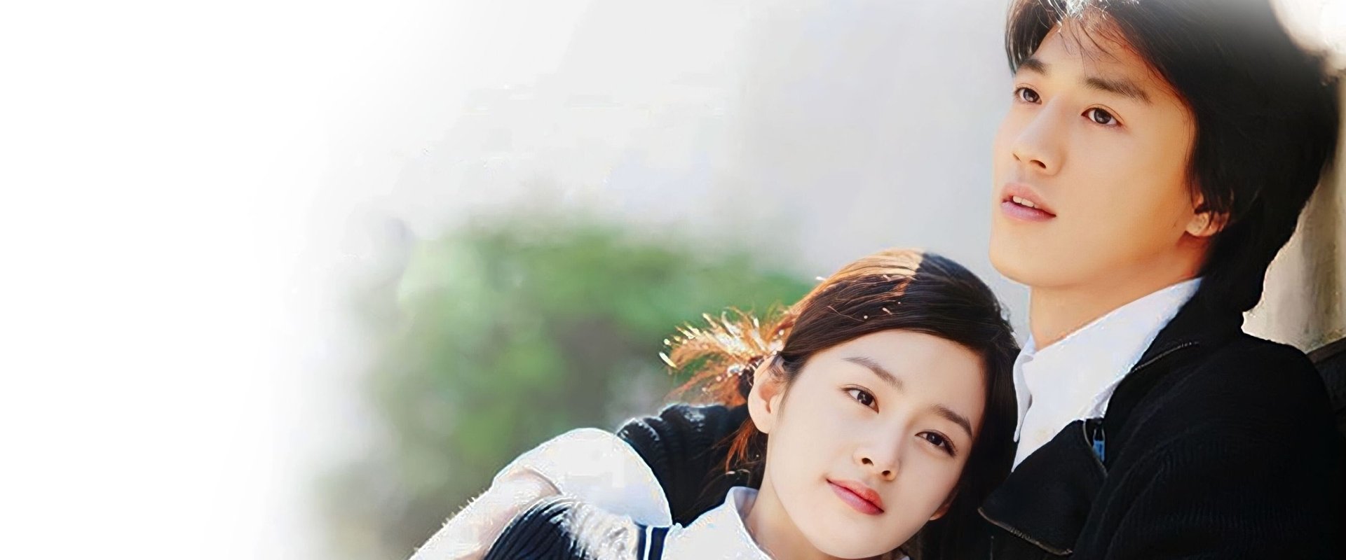 Love Story in Harvard