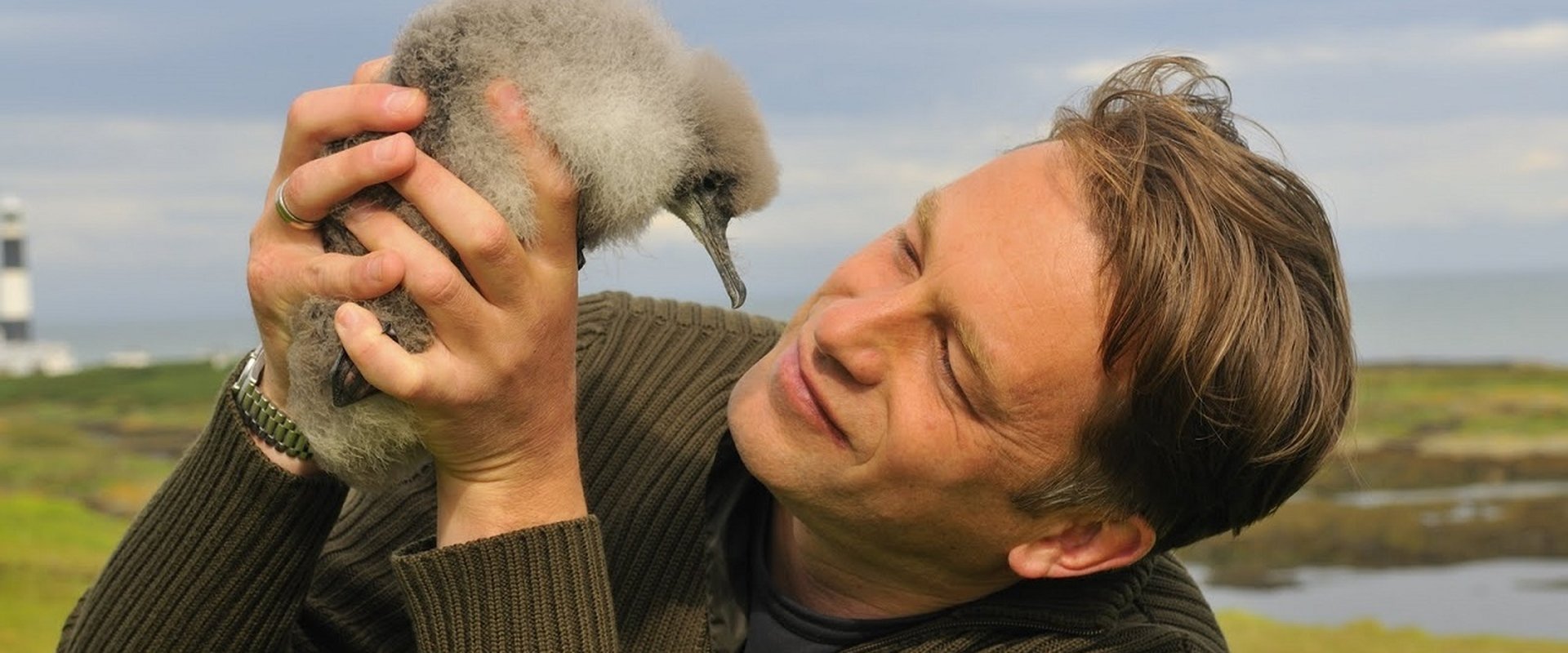 The Animal's Guide to Britain