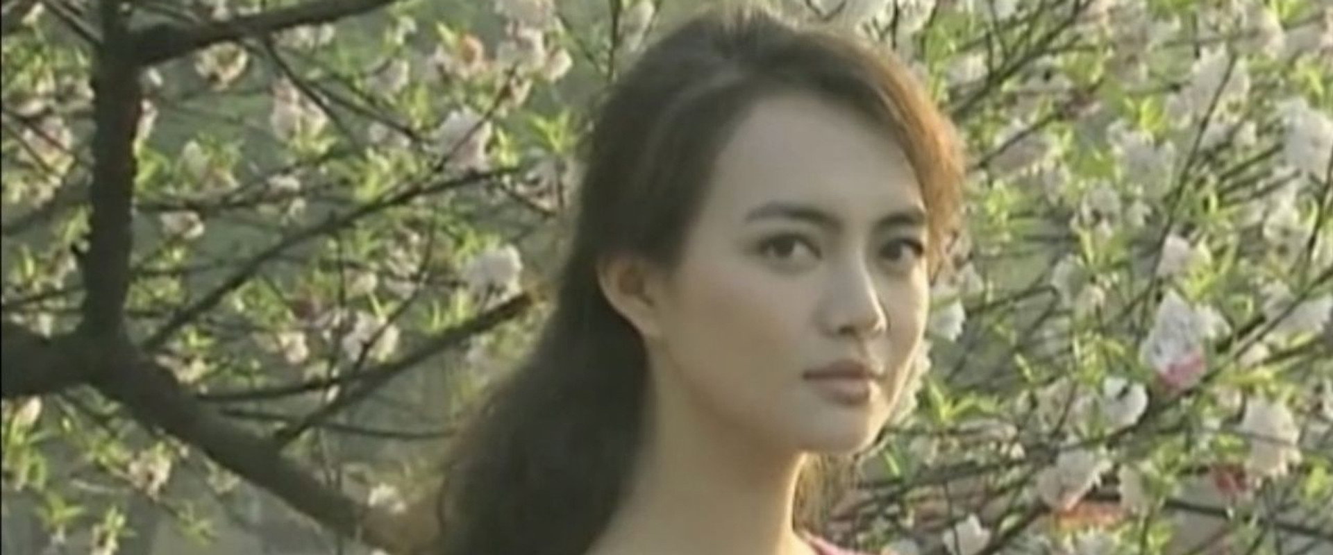 我是有情人's banner image