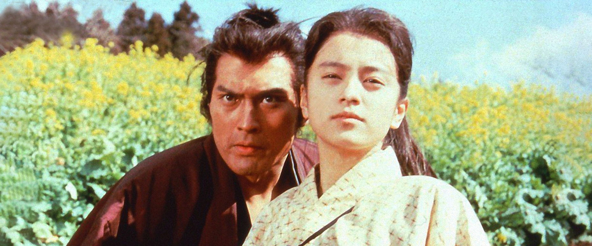 A Naive History of the Bakumatsu Era's banner image