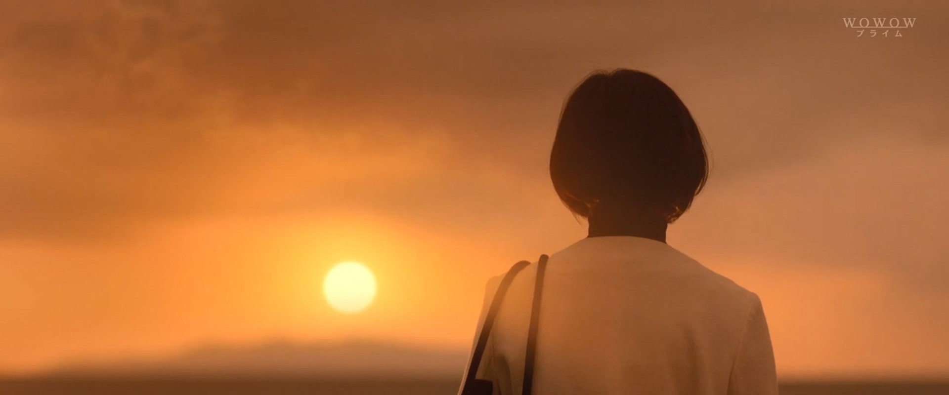 Zekkyo's banner image