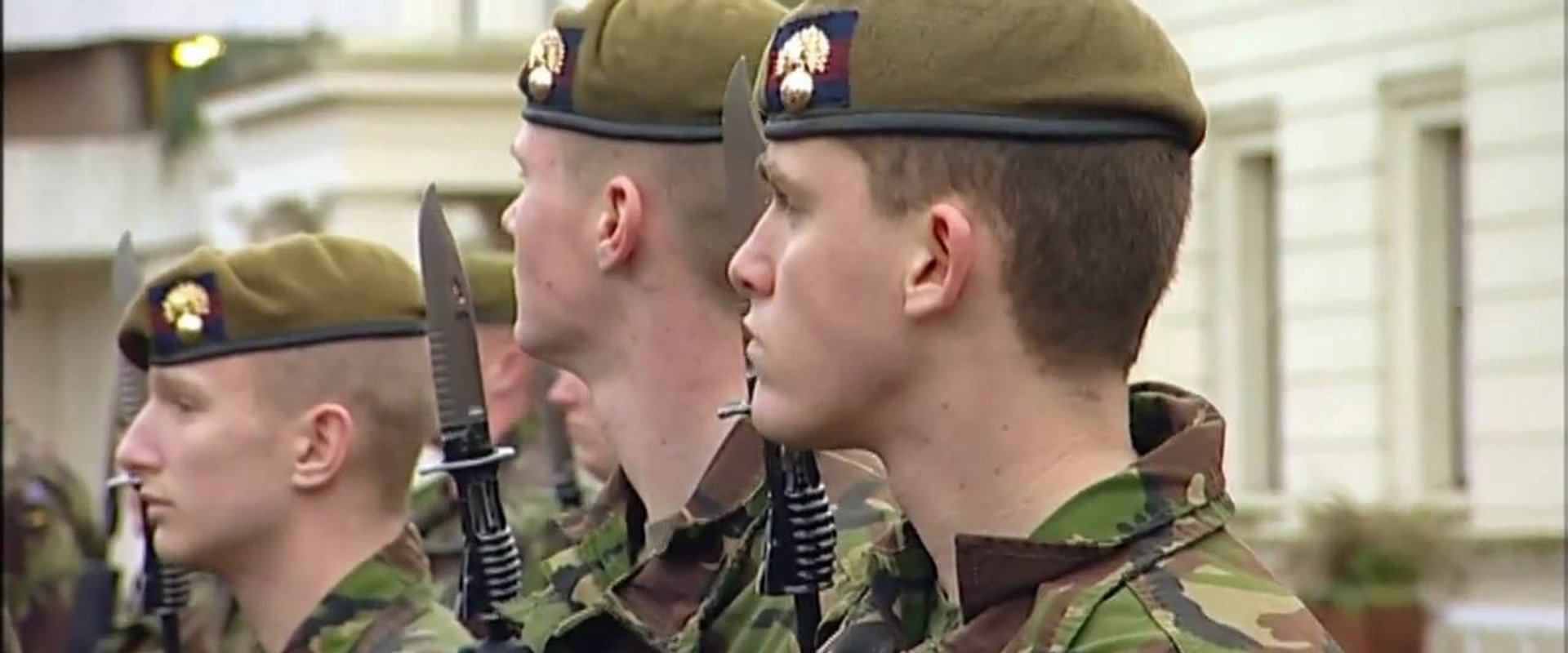 Guarding The Queen's banner image