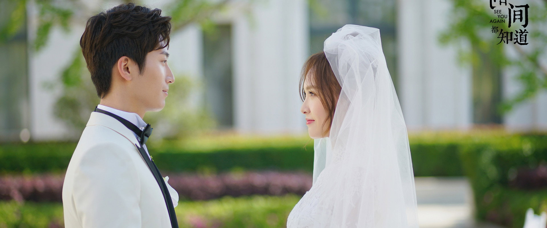 See You Again's banner image