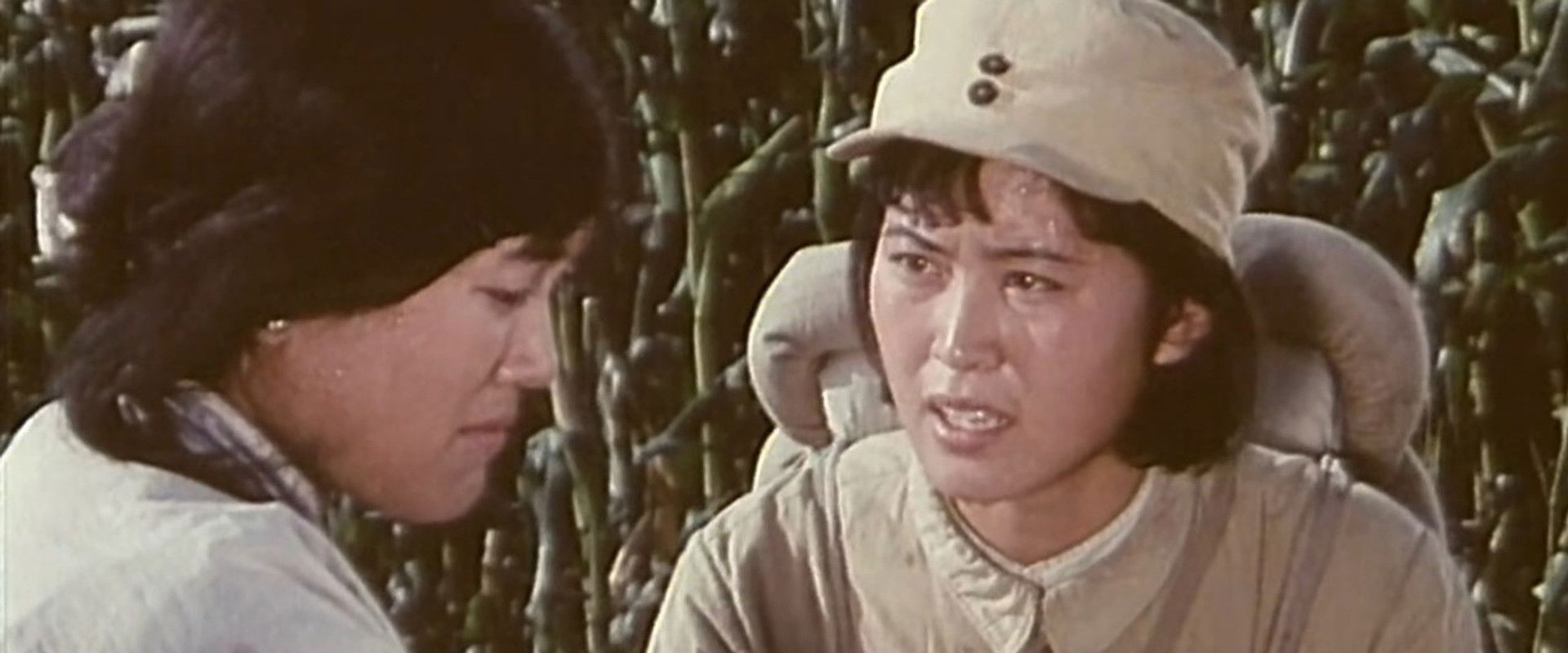 Nu Bing's banner image