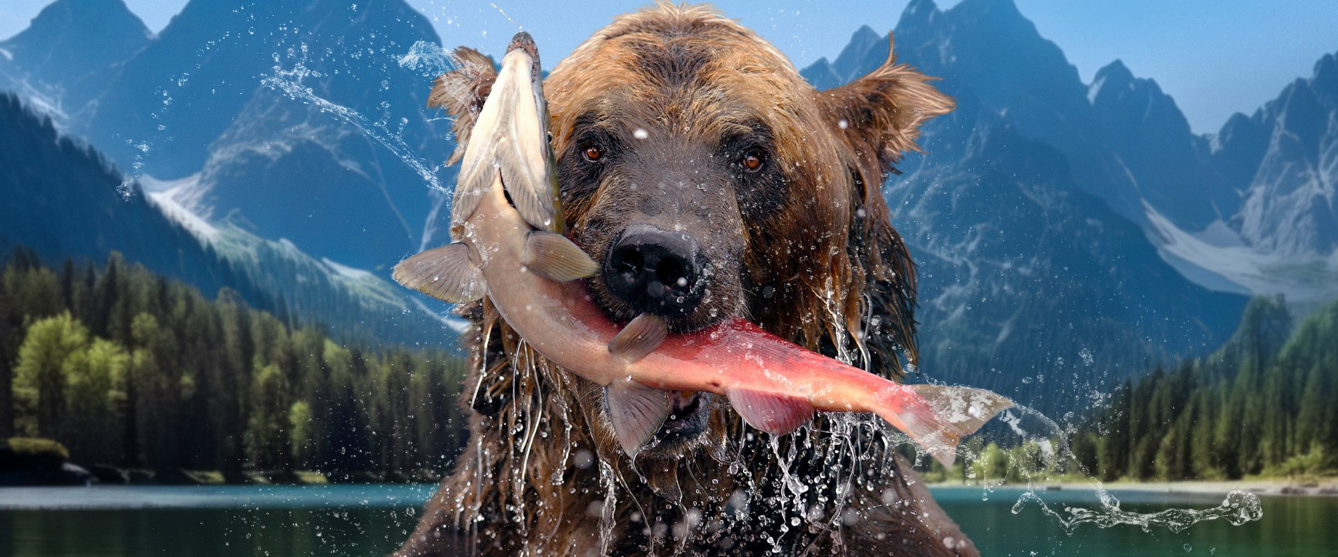 The Hungry Games: Alaska's Big Bear Challenge
