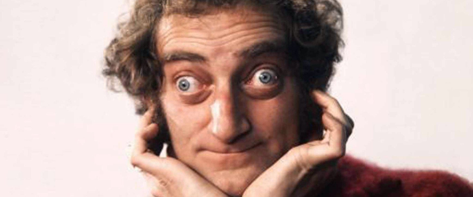 The Marty Feldman Comedy Machine
