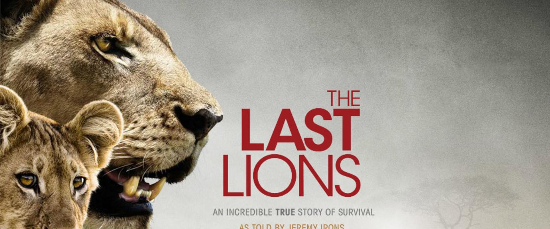 The Last Lions