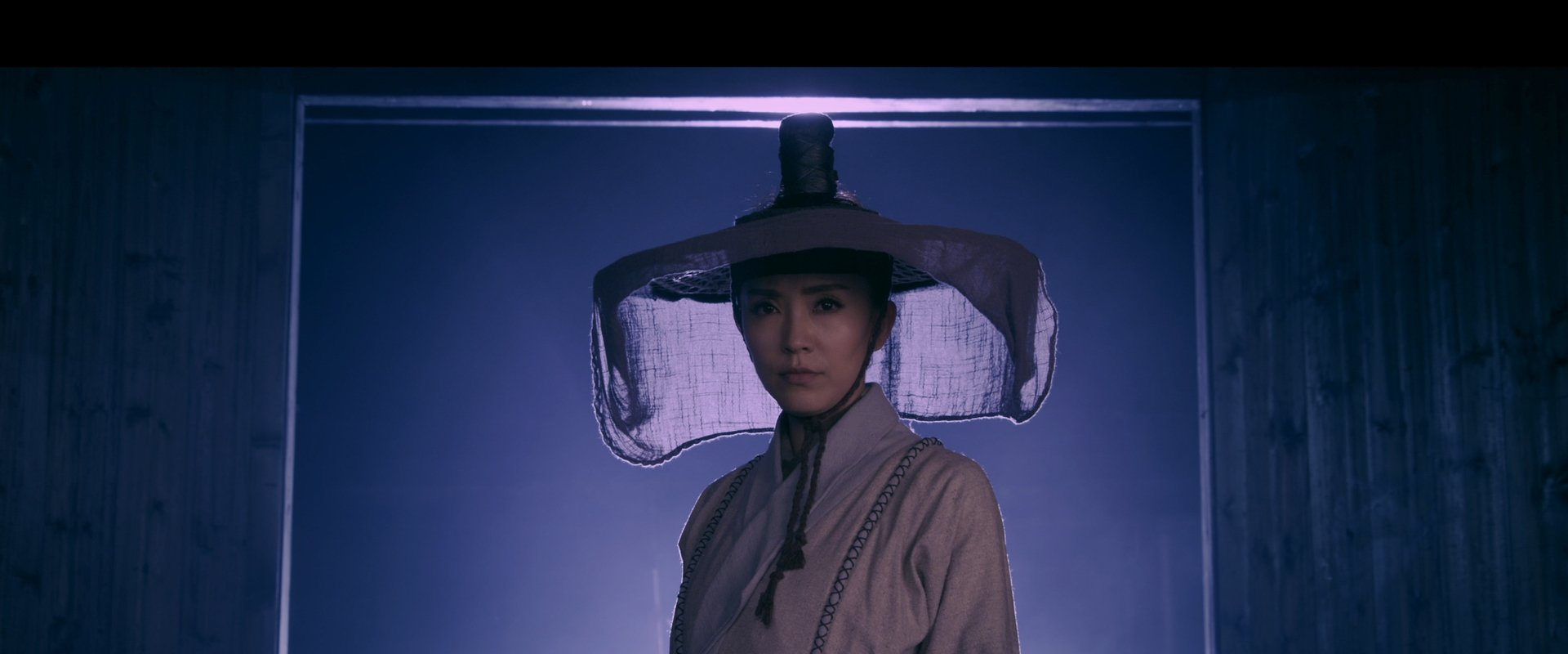 Lady Detective Shadow