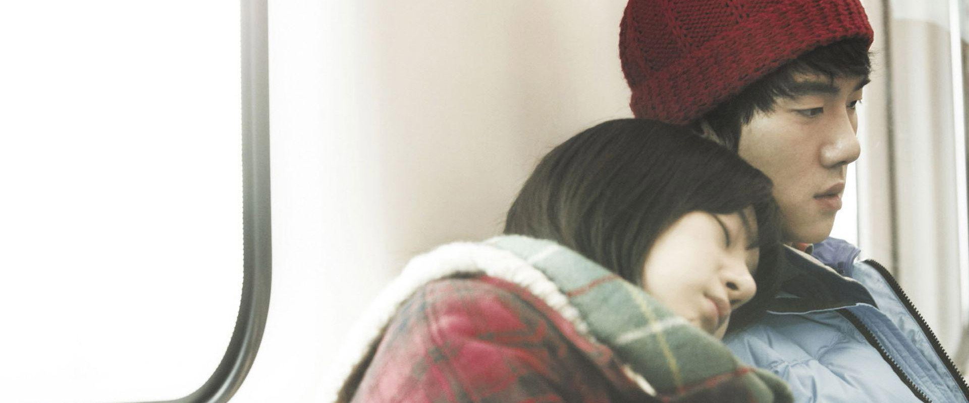 Hoya's banner image