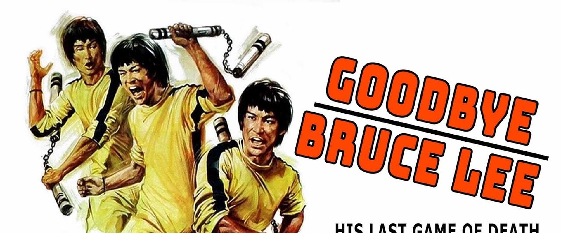 Goodbye Bruce Lee: His Last Game of Death
