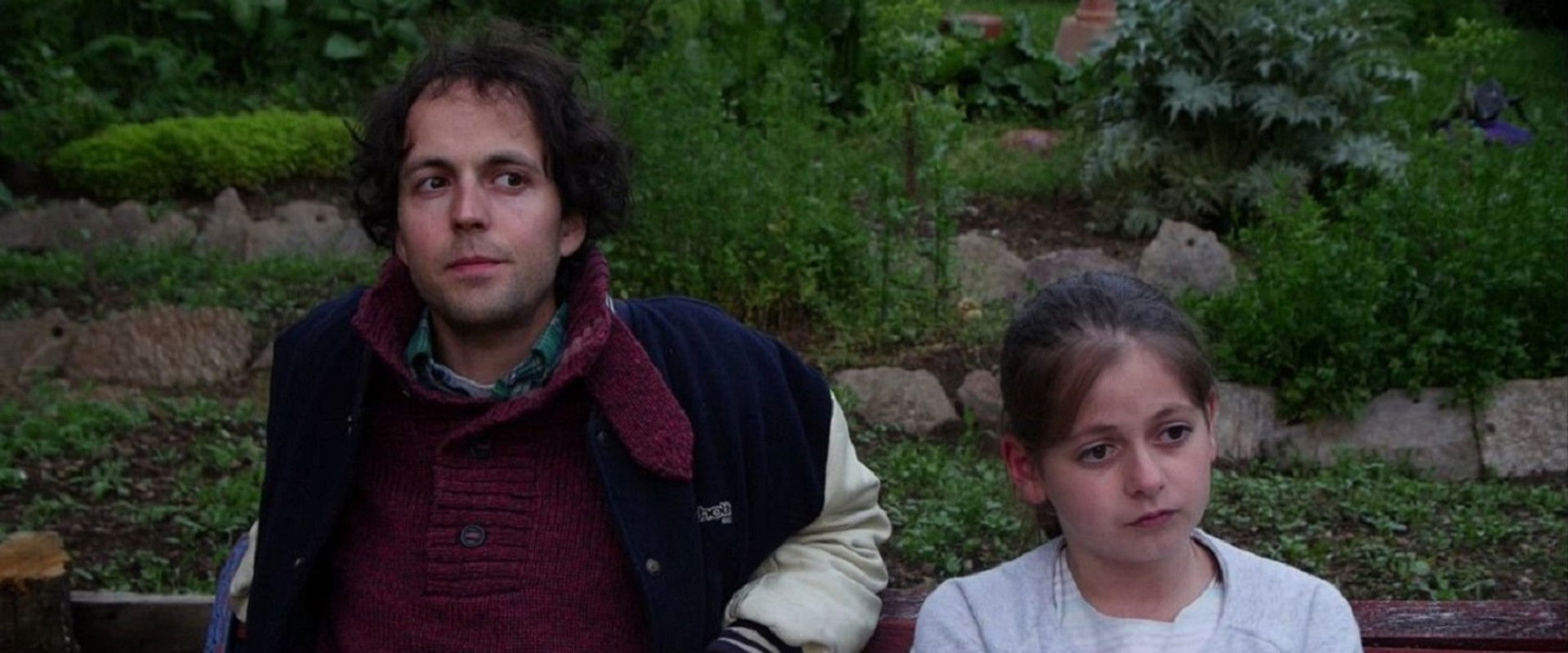 Je suis un arbre qui parle !'s banner image