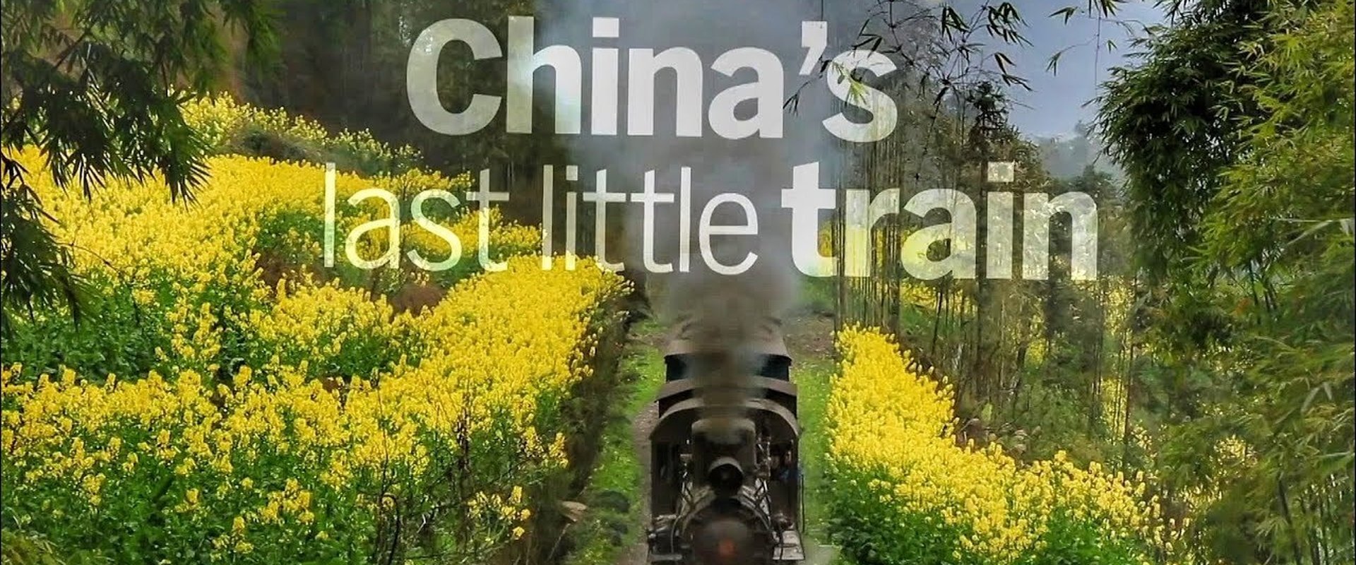 China's Last Little Train