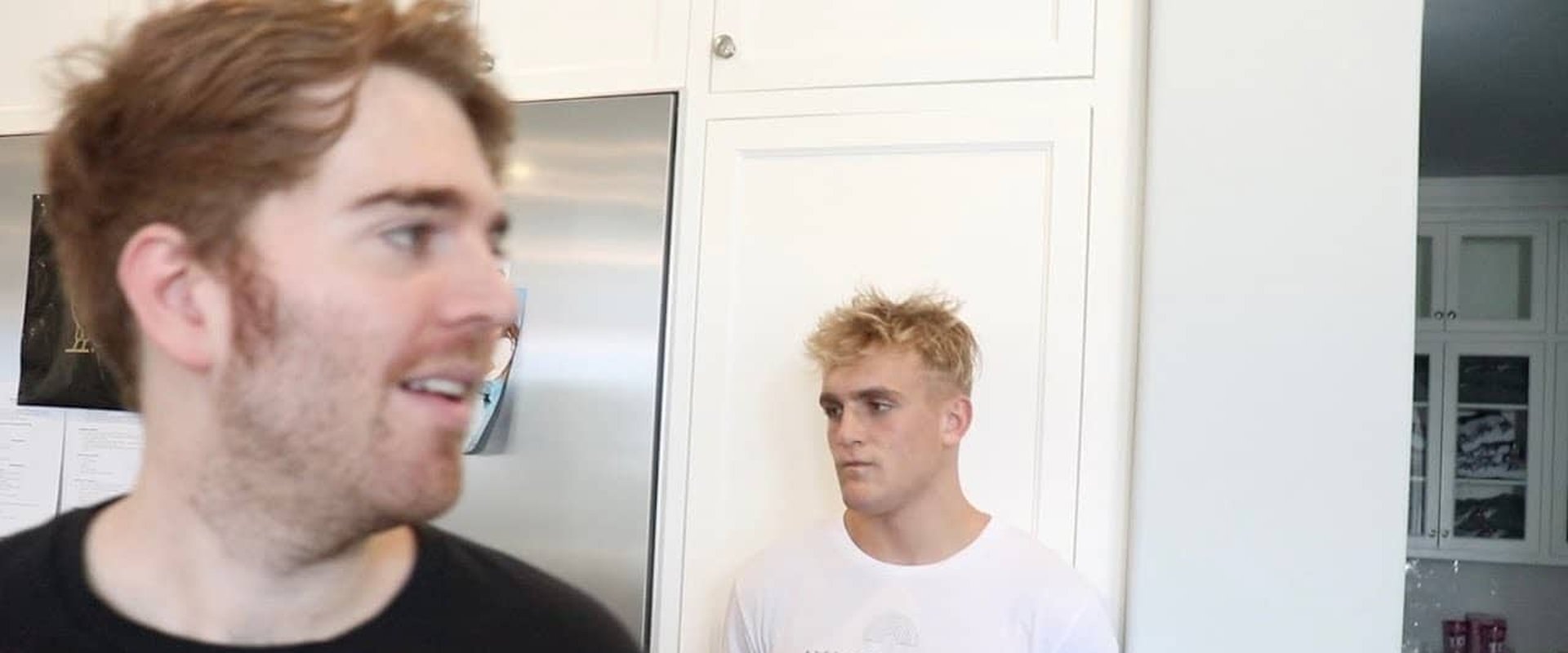 The Mind of Jake Paul