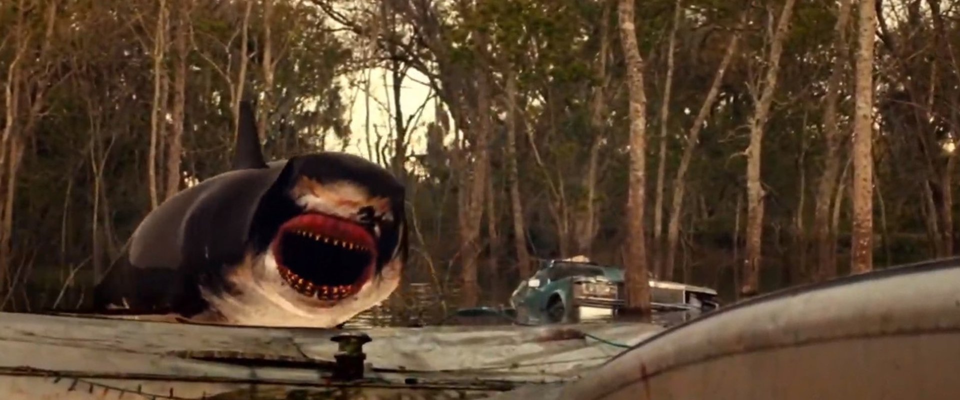 Trailer Park Shark