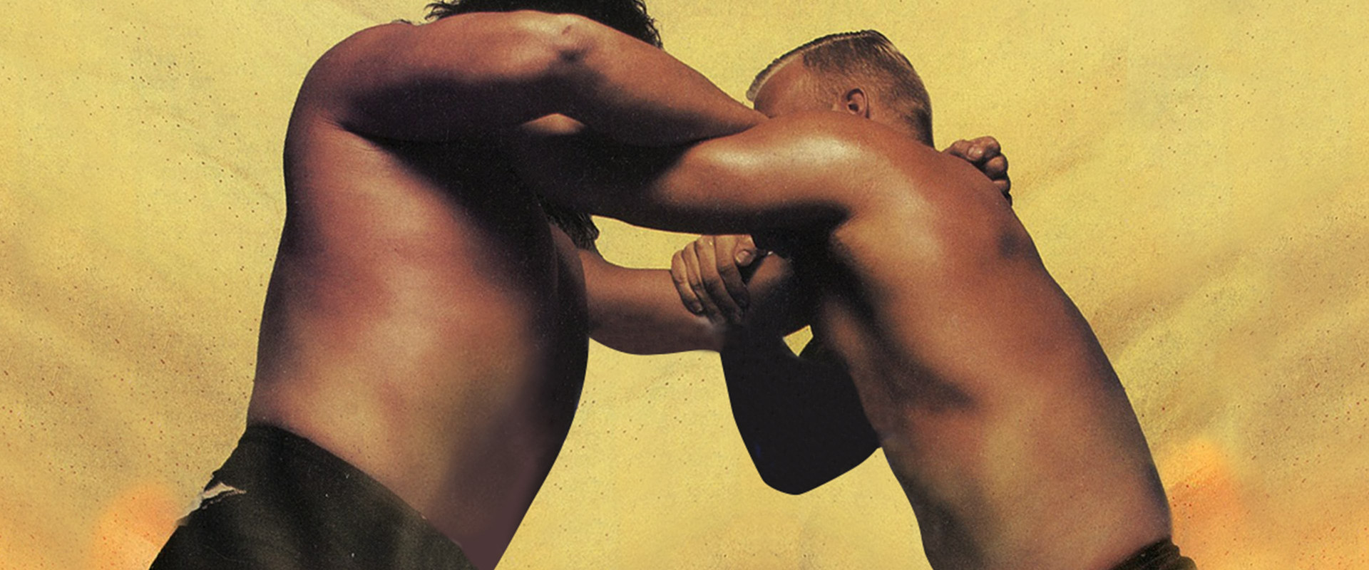 WCW Spring Stampede 1994's banner image