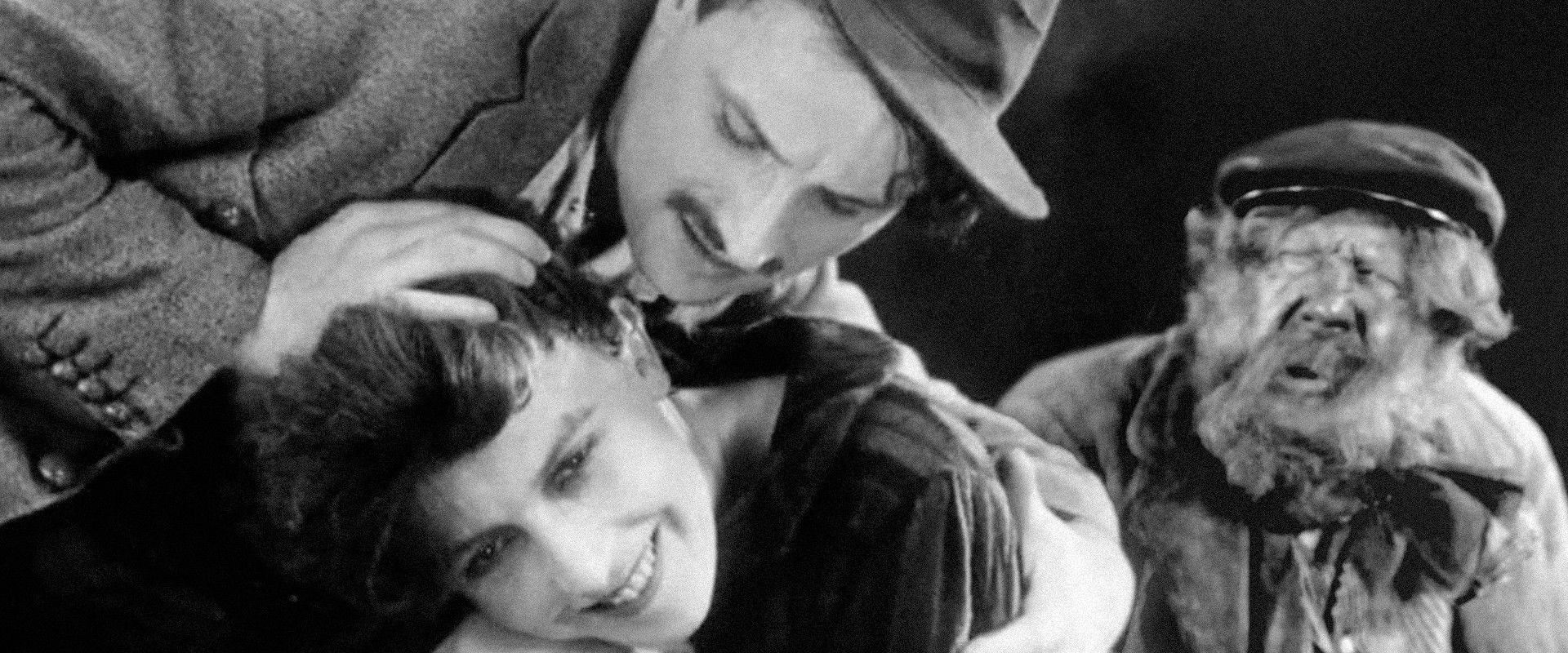 Pivoine's banner image