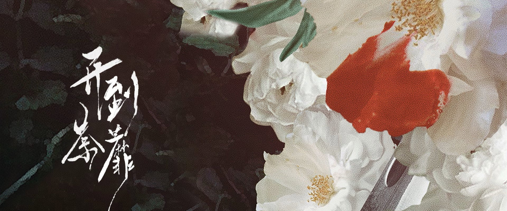 开到荼靡's banner image