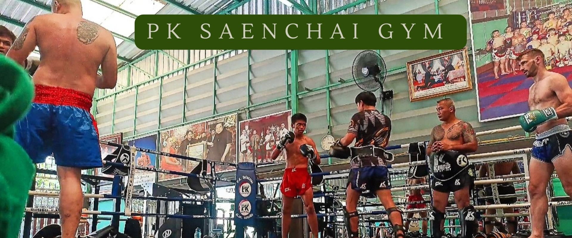 Pk Saenchai Gym's banner image