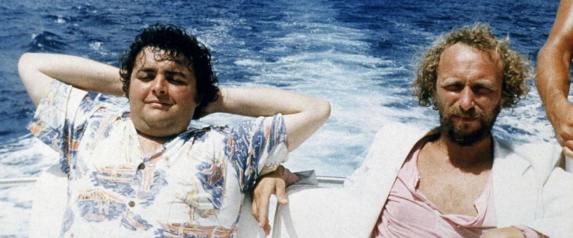 The Castaways of Turtle Island