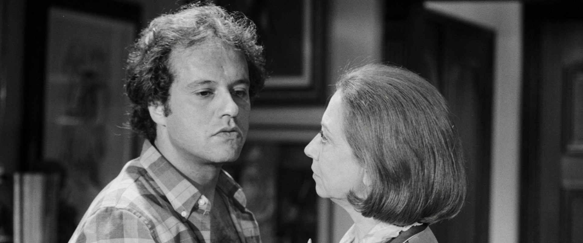 Brilhante's banner image