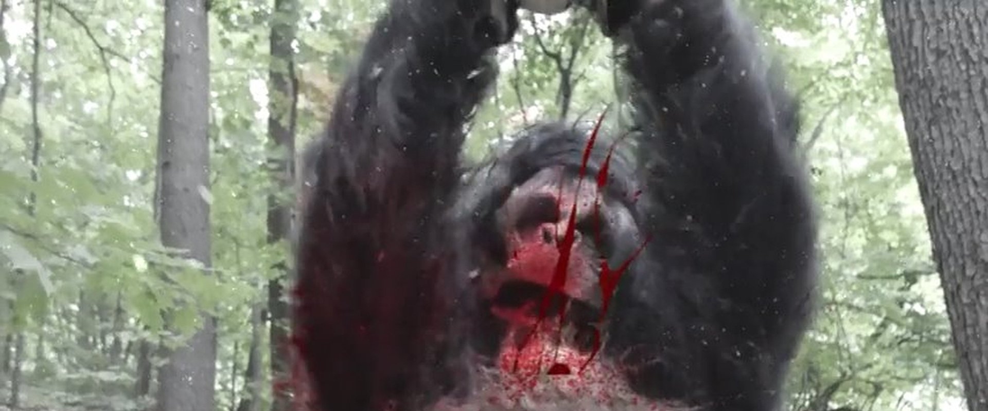 Frozen Sasquatch