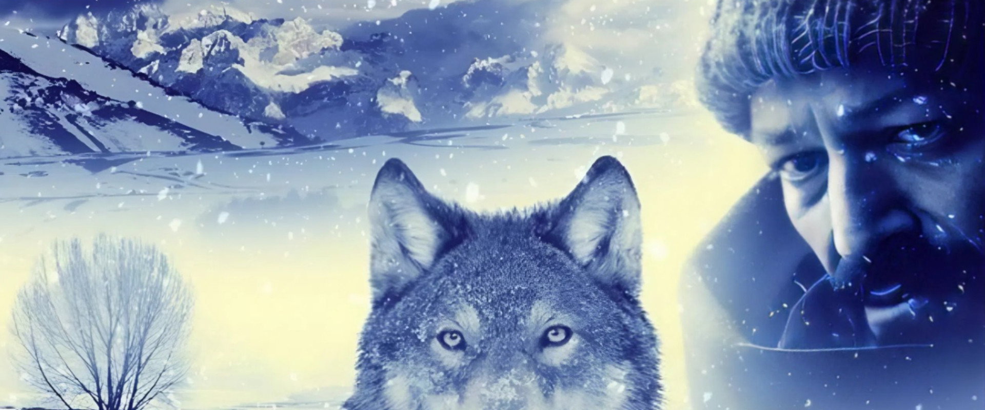 Mavzer's banner image