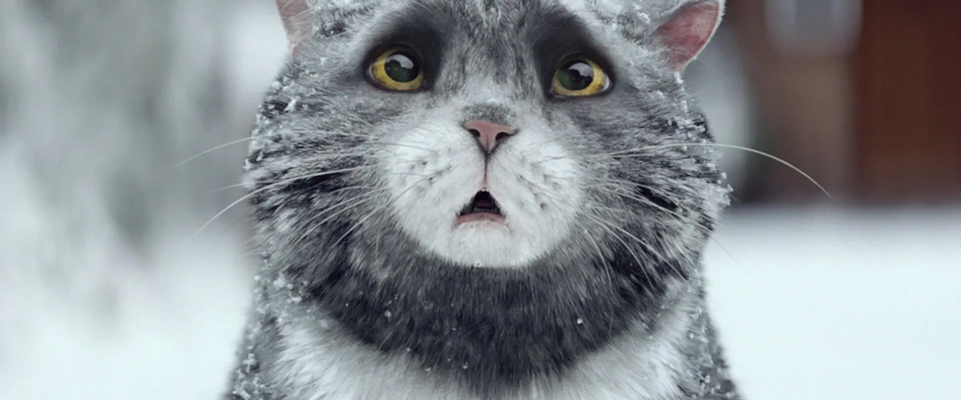 Sainsbury's: Mog's Christmas Calamity