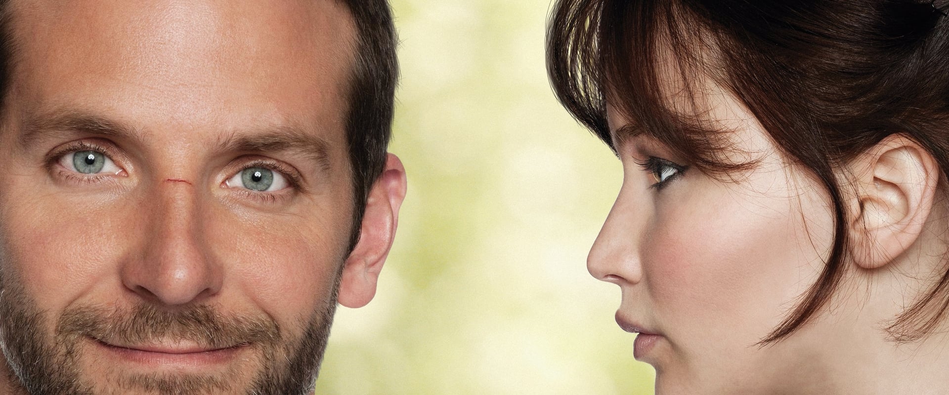 Silver Linings Playbook