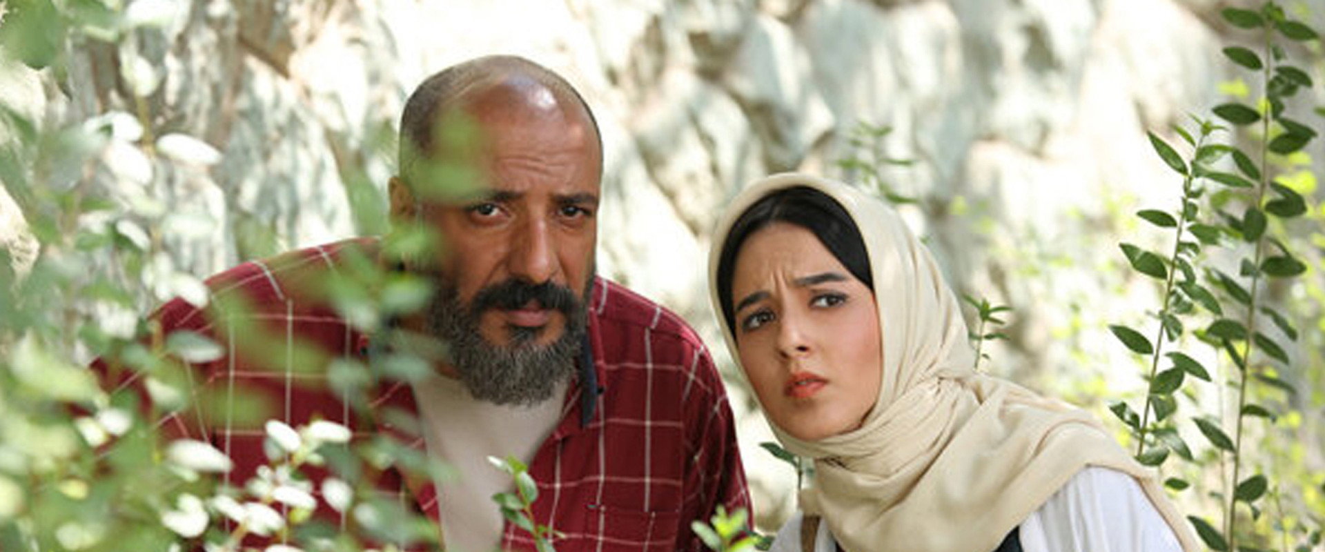 سوفی و دیوانه