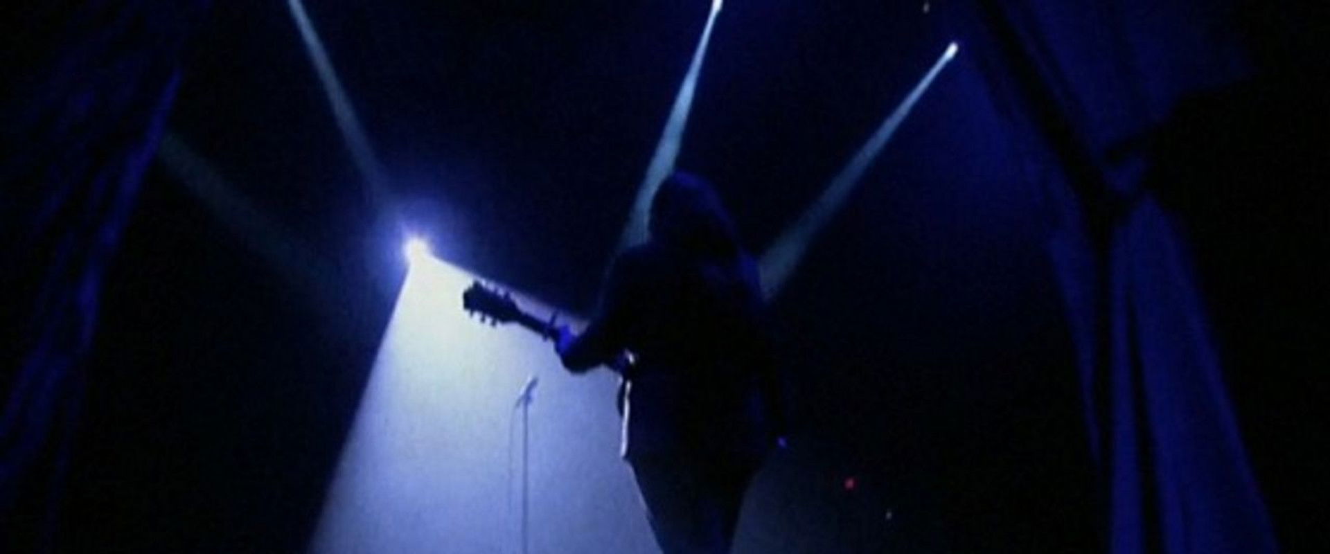 Spotlight's banner image