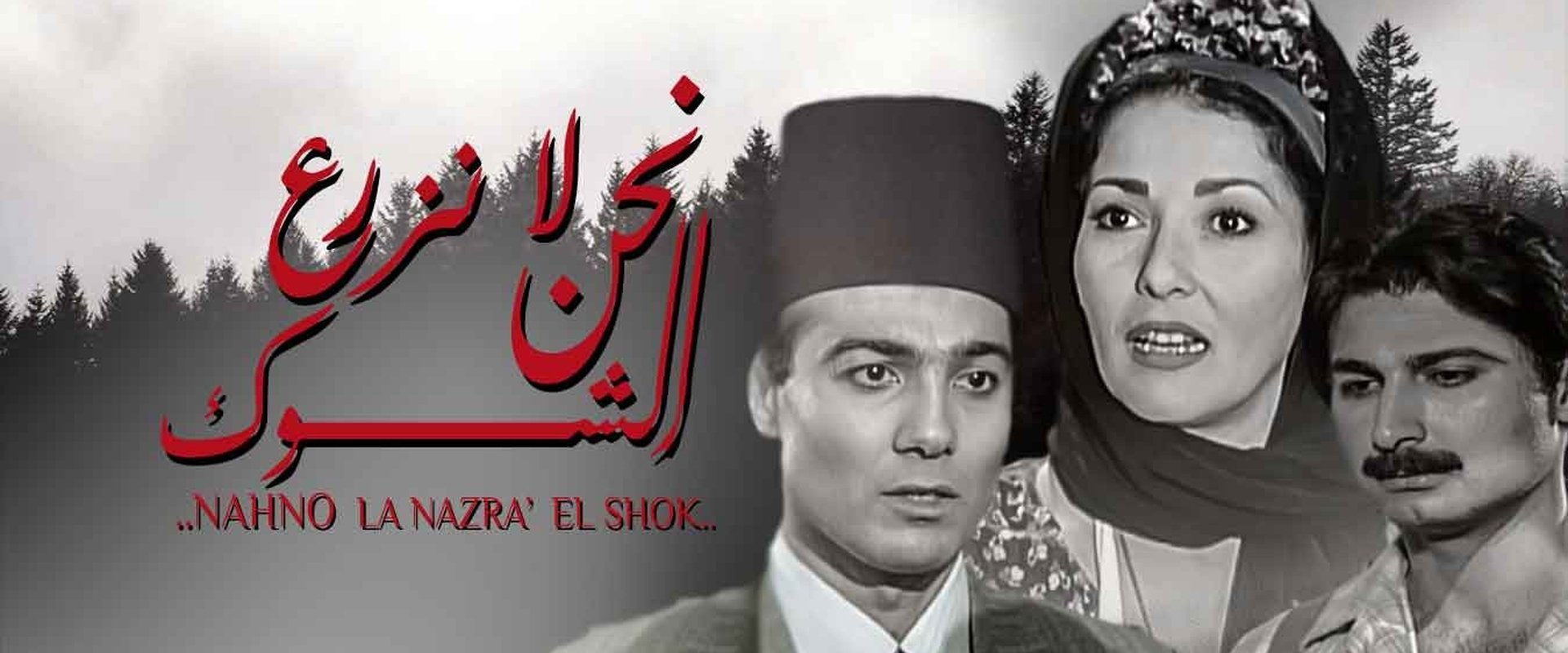 نحن لا نزرع الشوك