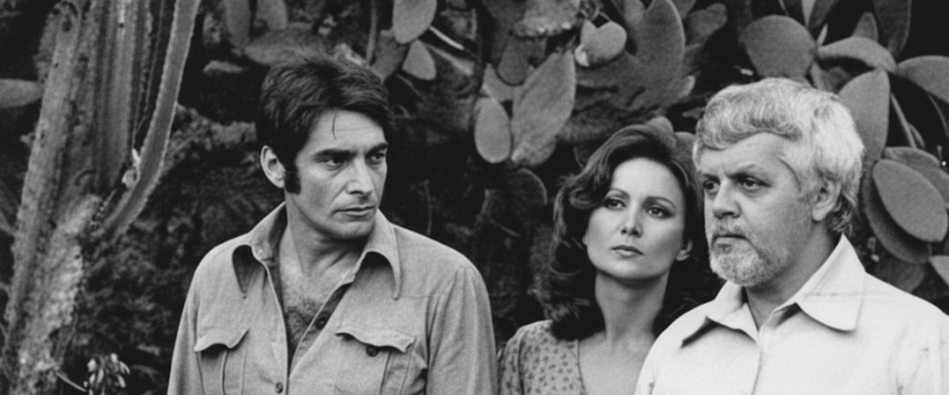 A Viagem's banner image