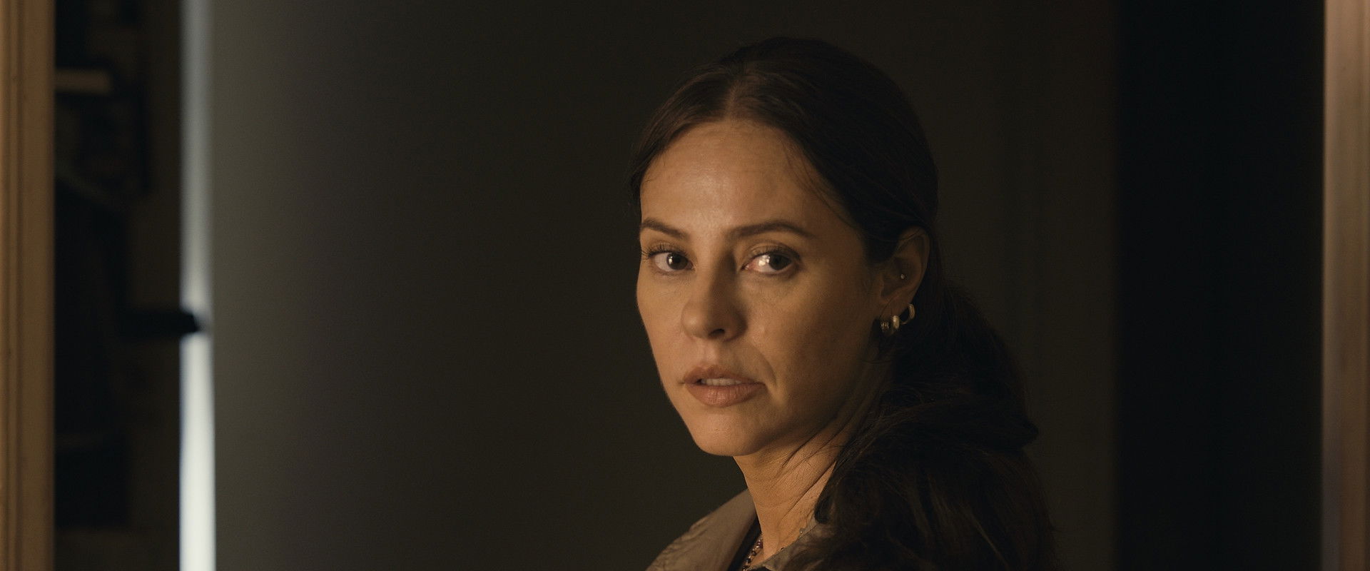 Narcisa's Will's banner image