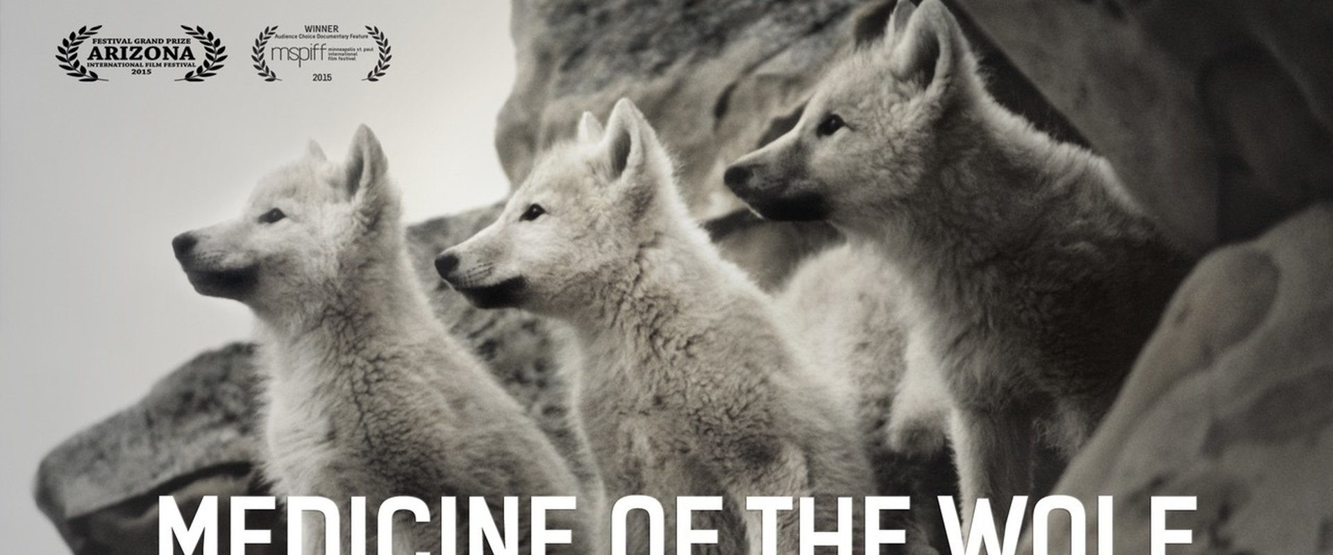 Medicine of the Wolf