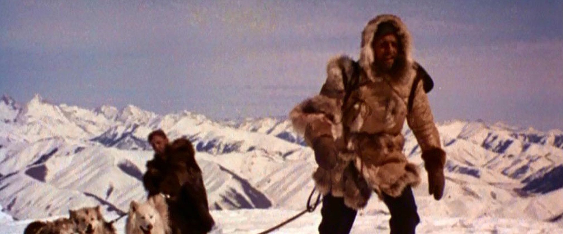 The Wild North