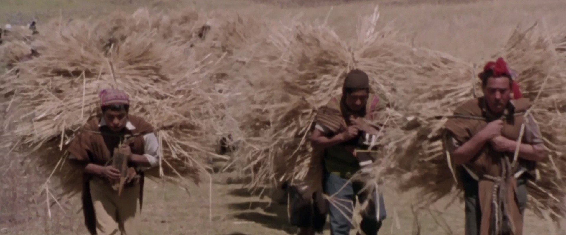 Mémoires d'une enfant des Andes