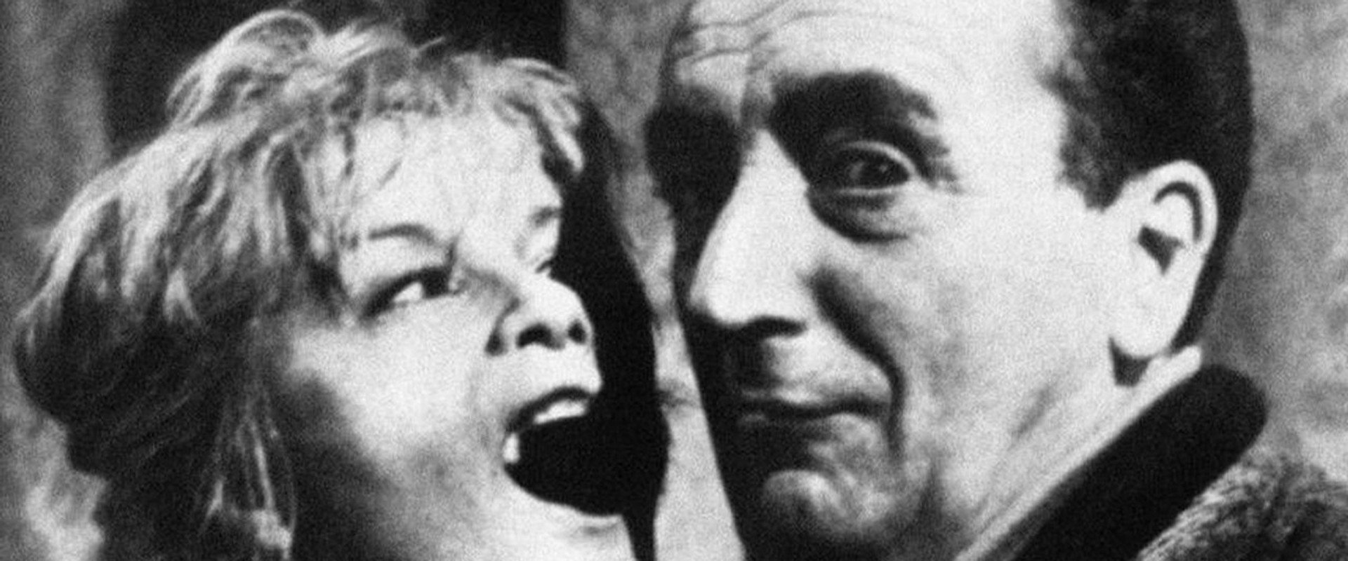 Mario Bava: Operazione paura's banner image