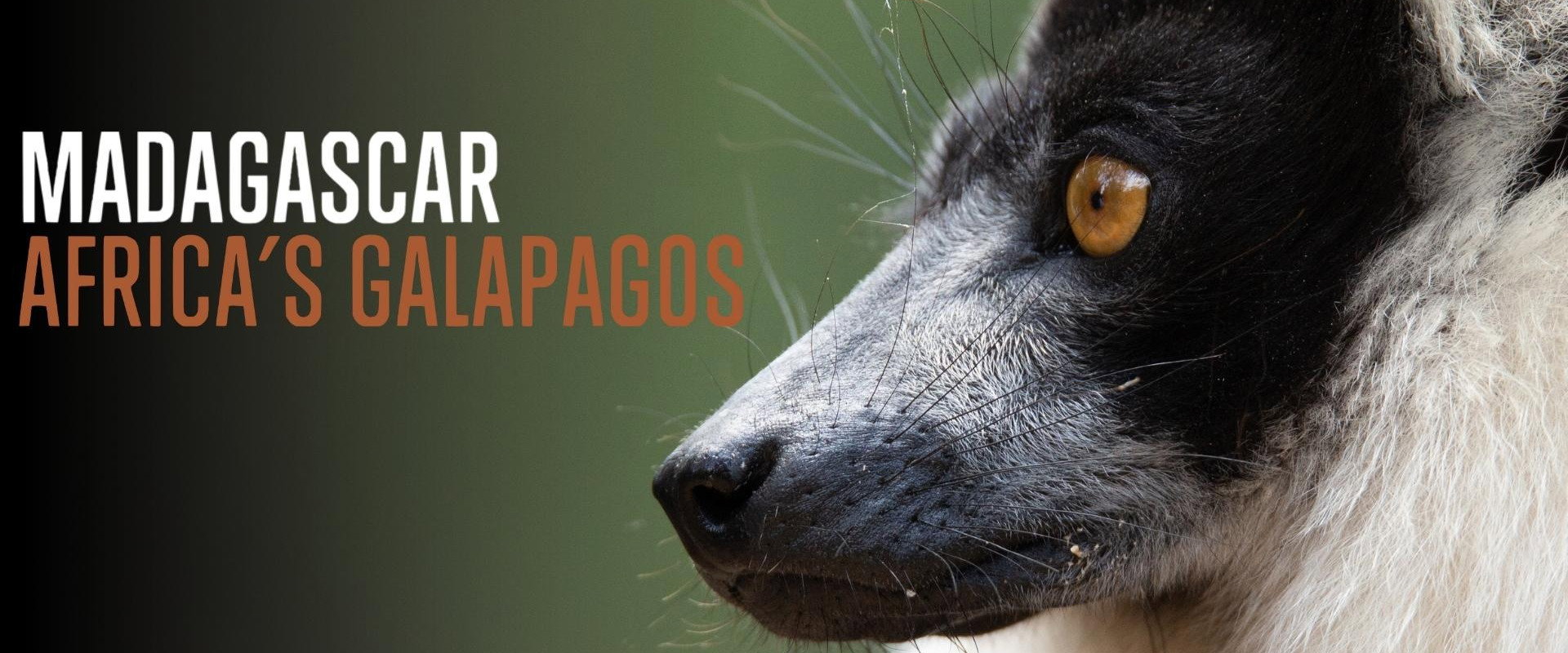 Madagascar: Africa's Galapagos